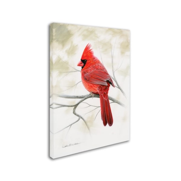 Chuck Black 'Beauty In Red' Canvas Art,14x19